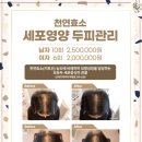 뷰티미용상사 이미지