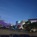 코로나 극복 힐링페스타-CHORUS | 대구서구문화 힐링페스타 JK김동욱, 왁스 감성 폭발 후기