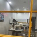 마이뷰티독 이미지