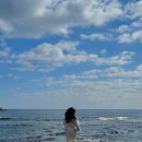남원읍 남원리 재활용 도움센터 | 제주여행 서귀포시 숨은 명소 핫플 추천: 남원큰엉해변 바다 포토존