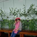 남당항로 이미지