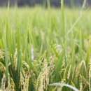 이천농업테마공원 안내센터 이미지