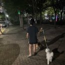 (주)이지메스 | 지난 여름은 가슴에 묻고 가을을 맞이하자