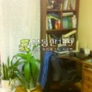 서울 성북구 돈암동 / 풍림 아파트 / 11 이미지