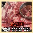 충북 보은 삼겹살 뿔난돼지 결초보은시장 맛집