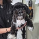 도란도란동물병원 이미지