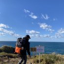 누구개요 | 호주 백패킹 타즈매니아 오버랜드 트레킹 개요