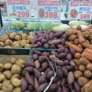 신선마트식자재클럽