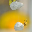 (주)아이미소로 이미지