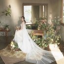 매직 웨딩 세탁 이미지