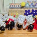 해뜸어린이집 이미지