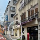선정릉역 미용실 &#34;살롱드가령 논현점&#34; 엘로이 컬러 크리닉 톤다운 만족스러운 후기