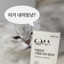 피부건강몰 | [고양이영양제] 비듬 고민 마음반려몰 고양이피부영양제 급여 후기