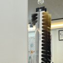 스텔라헤어 이미지