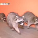 고래농장 이미지