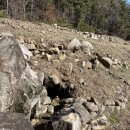 백련암지 이미지