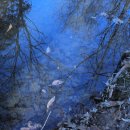 깊은산속 옹달샘 이미지