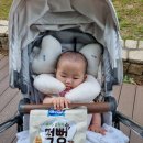 서부부분정비 | 수원 카시트 유모차 세탁 출장 방문 서비스 91클린 후기 매트리스 소파 청소