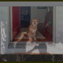 인천도호부청사 | 도호부청사 관람 후기: 인천의 역사와 아름다움