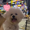 보정역 | [보정역] 가성비 좋은 보정동 맛집 더맛있는족발보쌈 보정점 방문 후기!! + 매장도 넓어요