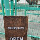 포천셀프킹 | 포천 애견운동장 뽀야네 딩가댕가 애견카페 내돈내산 리뷰