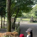 세자매목장 이미지