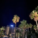 표선리-32 | 제주도 표선 해비치 리조트 호텔 32평형 트윈룸 / 조식 할인 / 실외수영장 이용후기🌴💙