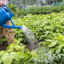 진흥농약사 이미지