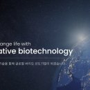 엘엔씨 네이버블로그