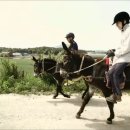 순용농장 이미지