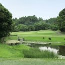 Rainbow Hills 이미지