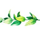 강심내과의원 이미지