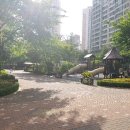 화성금곡초등학교 이미지