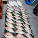 마린스타 이미지