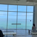 강릉, 속초 1박2일 여행 : 강릉 삐꼴로까사 수영장 예쁜 펜션, 다이나믹 메이즈, 청초수물회 속초 본점