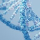 애니젠(주) 이미지