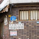 소금빛프로젝트