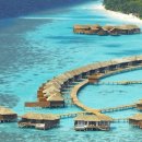 백년가약우리옷 이미지