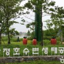 (주)본비코리아 이미지