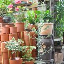 월평4호 이미지