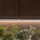 탱글성형외과의원 이미지