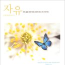 송촌장로교회 이미지