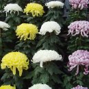 연암축산 이미지