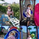 신백생활체육공원 이미지