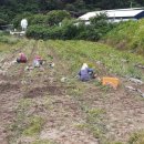 분토골농장 이미지