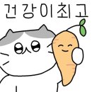 바이정(by-jung)