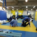주짓수박스구미.석적