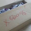 부경사