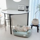 아이 편한 세탁[i 편한 세탁] | 강아지 방석 추천, 세탁 관리 편한 애견 쿠션