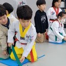 옥정 용인대 백호 태권도장 이미지